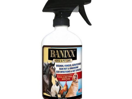 Banixx Horse & Pet Care for Fungal and Bacterial Infections 16 Oz by Banixx Online