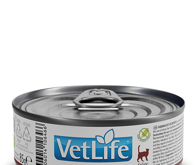 Vet Life Natural Wet Diet Cat Hepatic For Cheap