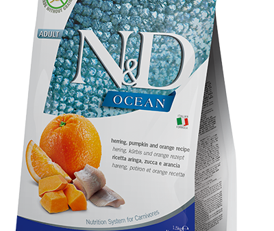 N&D Ocean Cat Aringa Zucca e Arancia Online Hot Sale