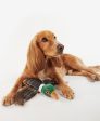 Barbour - Gioco per cani Fagiano Online Hot Sale