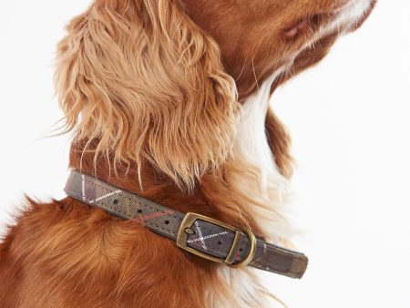 Barbour - Collare per cani Tartan Cotone Online