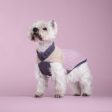 Maglioncino per Cani Soft Pink Online Hot Sale