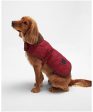 Barbour - Cappotto per cani Dog Bone on Sale