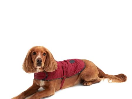 Barbour - Cappotto per cani Dog Bone on Sale