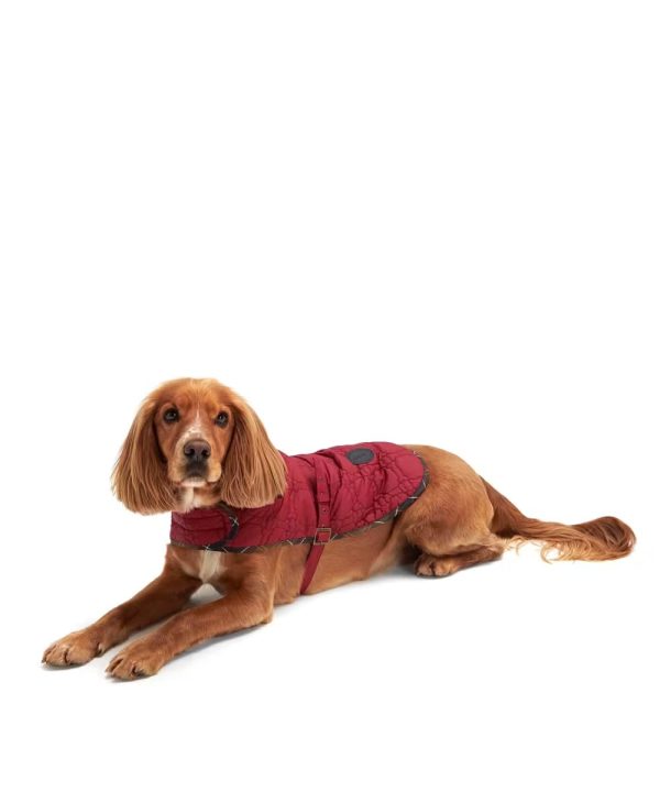 Barbour - Cappotto per cani Dog Bone on Sale