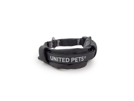 United Pets - Citylife - Collare eco con sottocollo imbottito For Sale