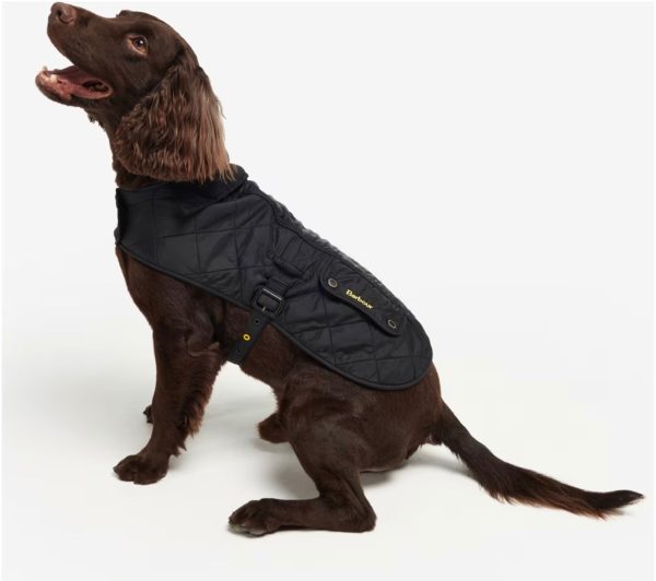 Barbour - Polar Dog Coat Online