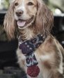 Barbour - Sciarpa per cani con fantasia Fair Isle Supply