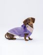 United Pets - Complete Me - Dolcevita Warmy Viola rosa Supply