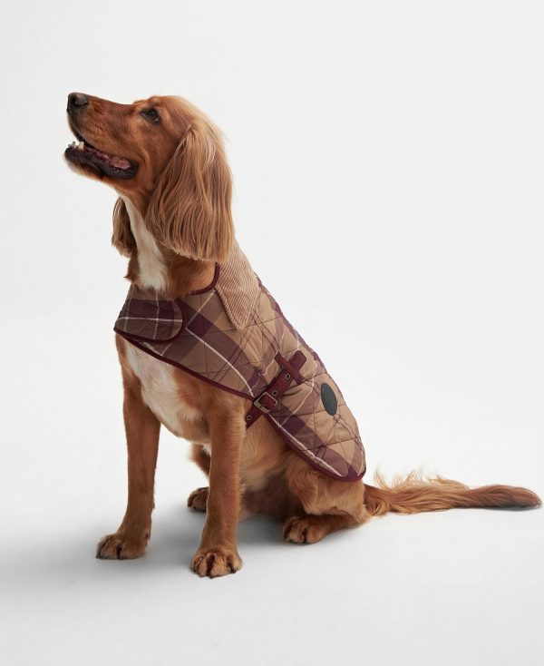 Barbour - Cappotto per cani Trapuntato Hot on Sale