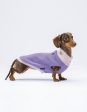 United Pets - Complete Me - Dolcevita Warmy Viola rosa Supply