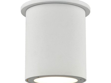 Lamar Outdoor LED Flush Mount Ceiling Light Fashion