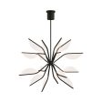 Belterra LED Globe Chandelier Online Sale