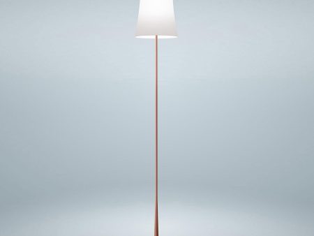 Birdie Easy LED Floor Lamp For Discount