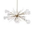 Blossom Oval Starburst LED Chandelier Online now