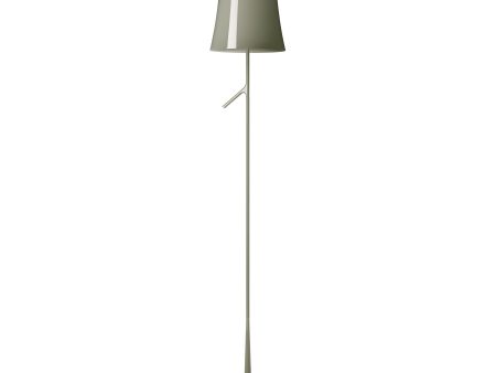 Birdie Lettura LED Floor Lamp For Cheap