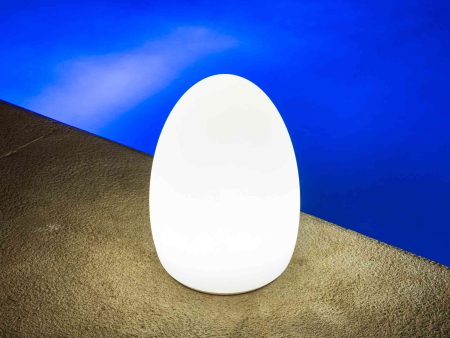 Egg Bluetooth Outdoor LED Lamp Sale