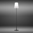 Birdie Easy LED Floor Lamp For Discount