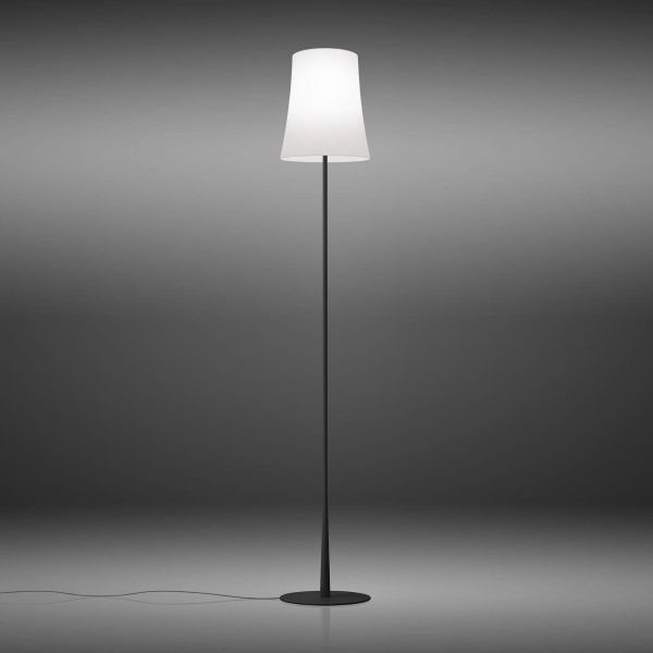 Birdie Easy LED Floor Lamp For Discount