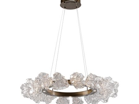 Blossom Ring LED Chandelier Hot on Sale