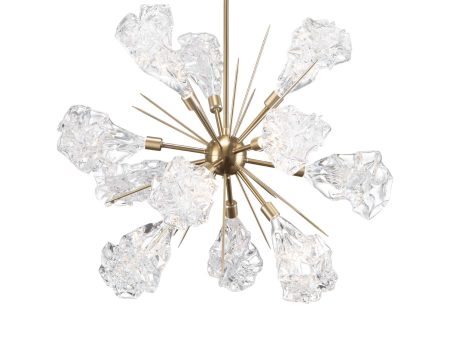 Blossom Starburst LED Chandelier Sale