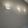 Bonnet Wall Light Discount