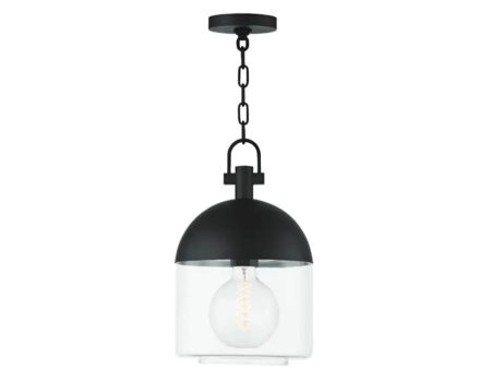 Zephyr Outdoor Pendant Light Online now