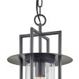 Carroll Park Outdoor Pendant Light Online now