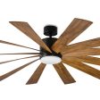 Windflower Smart Outdoor LED Ceiling Fan Discount