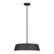 Asher Pendant Light Online now