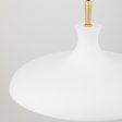 Cassidy Pendant Light Online now