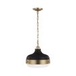 Cadence Pendant Light Online now