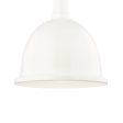 Blair Pendant Light Fashion