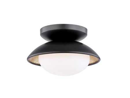 Cadence 1-Light Semi-Flush Mount Ceiling Light Online now