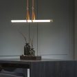 Belmont Linear LED Pendant Light Fashion