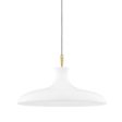 Cassidy Pendant Light Online now