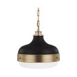 Cadence Pendant Light Online now