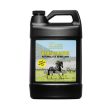 Barn Barrier Natural Fly Repellent 128 Oz by Eqyss Cheap